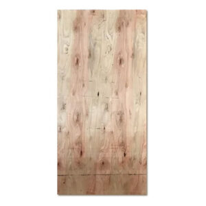 Fenólico industrial eucalipto